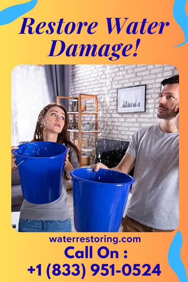water restoration Silver Property Restoration Brothers Southgate